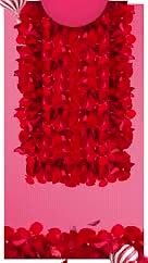抖音红色3D花瓣喜庆三八女神促销活动宣传视频的预览图